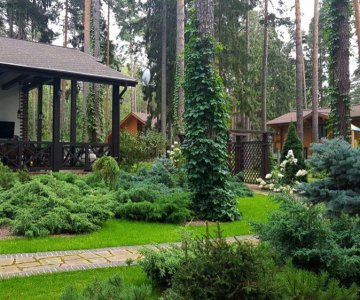 ШалеДом в ландшафте